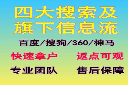某品牌SEM推广代运营的实践与效果评估